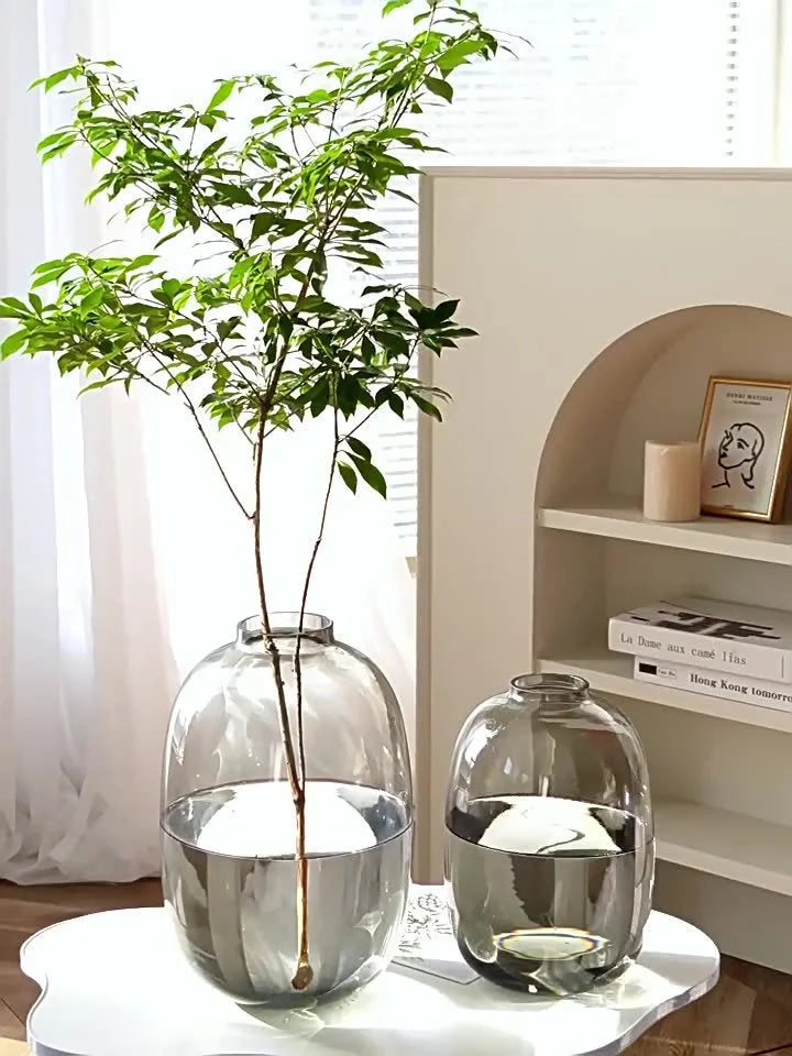 A large and small smoky grey tinted glass vase on a white table, with a green plant in the larger one. - RoomDen