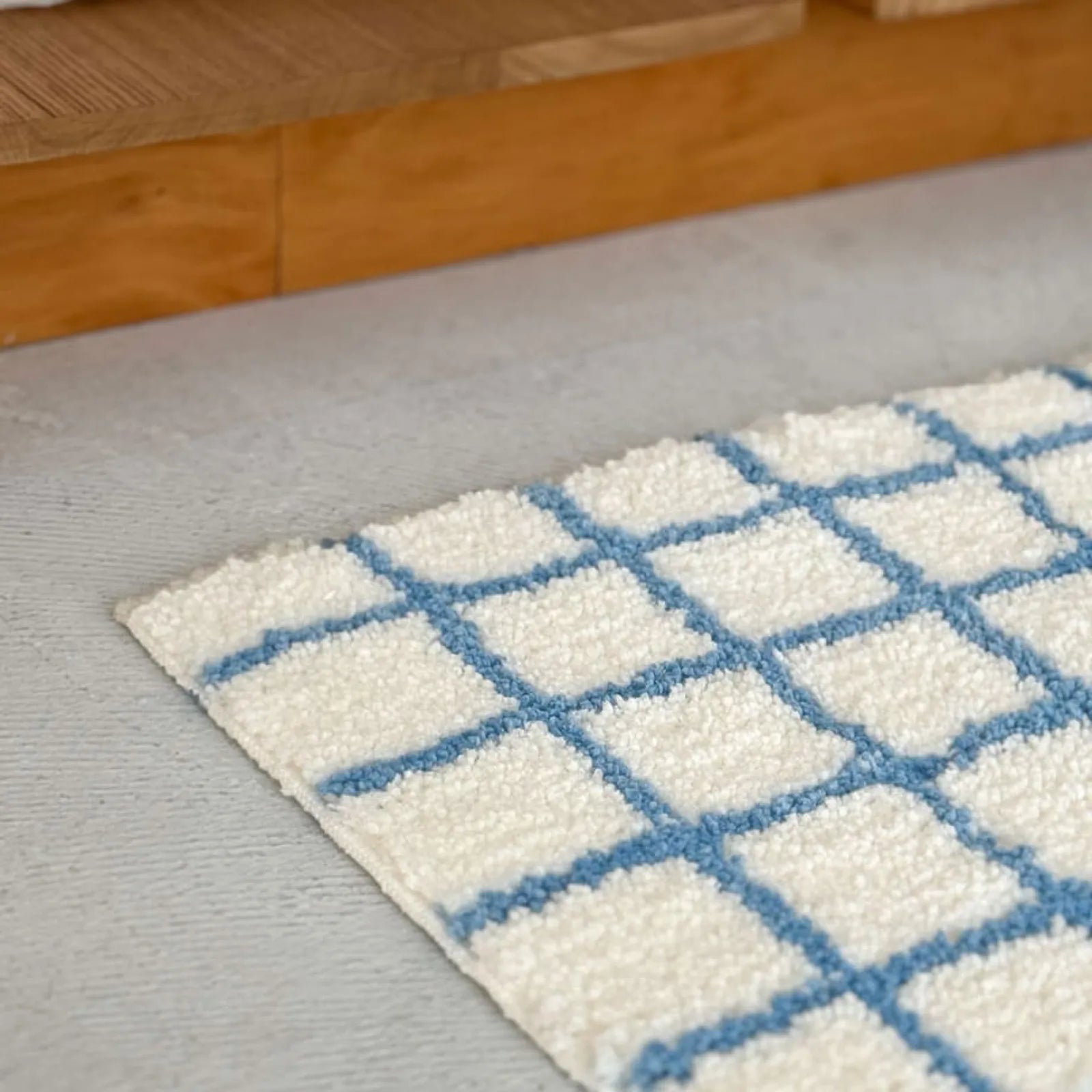 Detail Shot of Rug Corner Showing Shaggy Pile and Grid Pattern - RoomDen