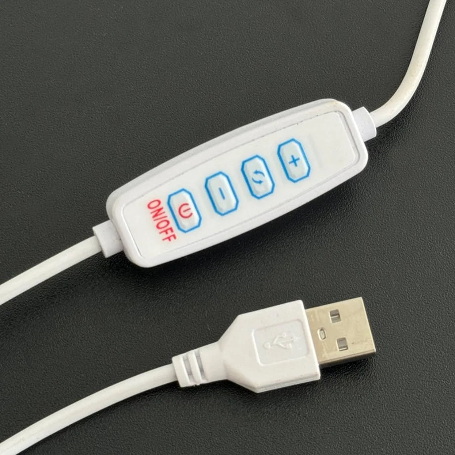 Close-up of the white USB power cable with in-line controls for on/off, mode, and brightness - RoomDen.
