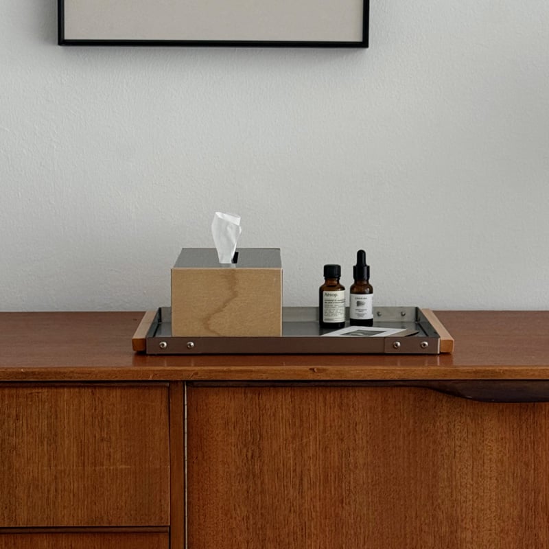Brushed Steel Birch Tissue Box